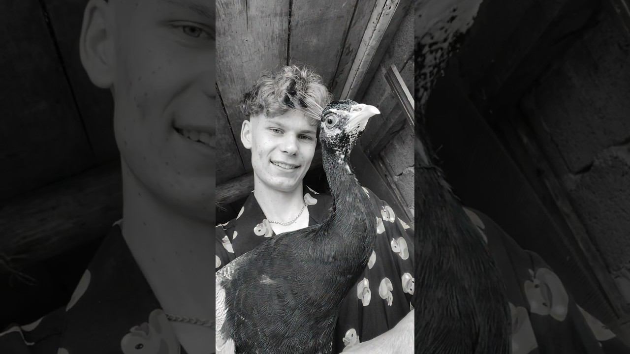 Сулейман наш погиб От такой новости вчера у меня сжалось сердце смотреть онлайн