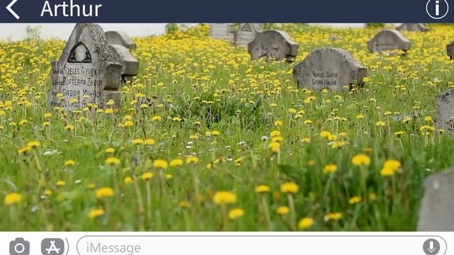 【Apple】Man won't date women over 25. Now close to 40, balding and fat and single...Lol [Jumbo] смотреть онлайн