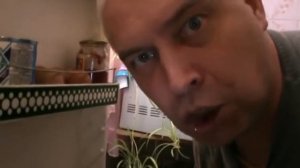 А я не понял, что вы делаете в моём холодильнике? (Мем)