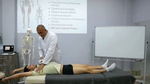 Анатомические поезда. Коррекция дорзальной цепи.