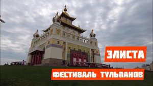 ВЫХОДНЫЕ / ФЕСТИВАЛЬ ТЮЛЬПАНОВ / КАЛМЫКИЯ / ЭЛИСТА / ДОЖДЛИВАЯ ВЕСНА / СВОБОДНАЯ СТЕПЬ
