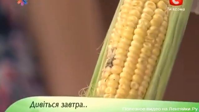 Упражнения для роста 100%результат смотреть онлайн