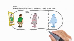 Из чего состоит человек? Часть 1.