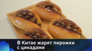 В Китае жарят пирожки с цикадами