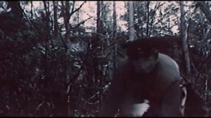 And dawns here are silent/ А зори здесь тихие...