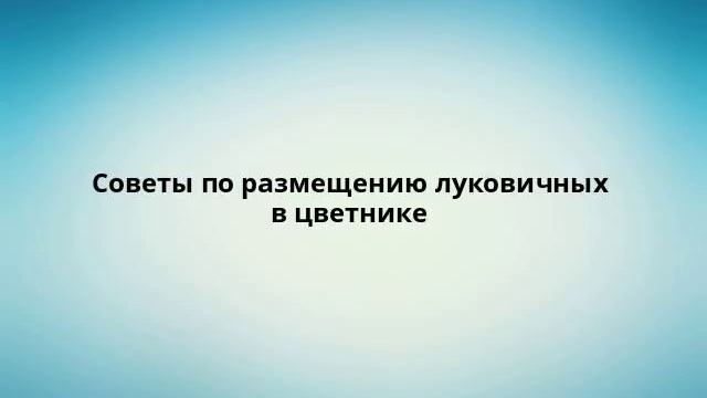 Советы по размещению луковичных в цветнике