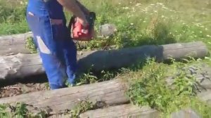 Бензопила соло в работе.