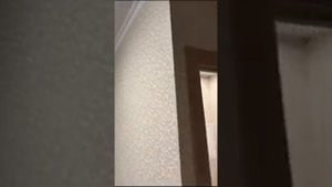 ✨Студия 9 м с ремонтом купить в Москве доступная цена прописка инвестиции в недвижимость