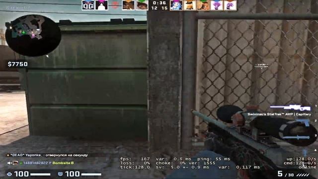 Моя царица ритма Капоэйра ❤️ смотреть онлайн