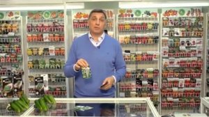 Огурцы корнишоны.Как выбрать огурцы корнишоны для теплиц.NOVA