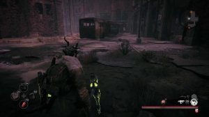 Remnant from the ashes (13)