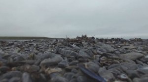 Остров Вайгач