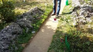 Дорожки в саду