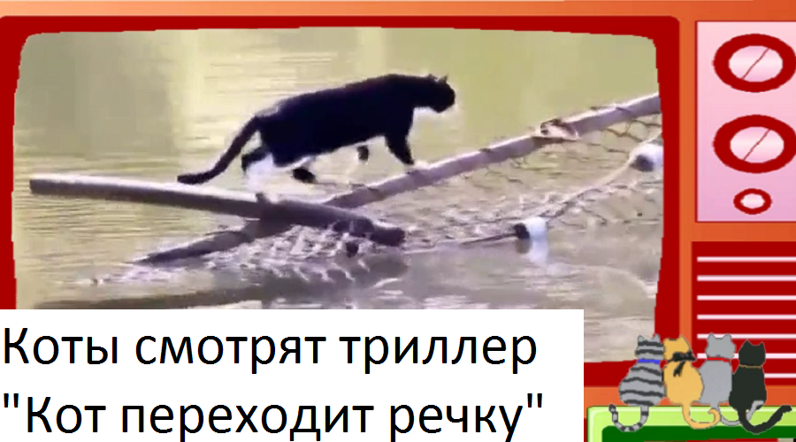 ? ? ? Коты смотрят триллер "Кот переходит речку"