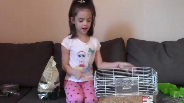 НОВЫЙ ПИТОМЕЦ/ ХОМЯК/Hamster/ ЗАСЕЛЕНИЕ хомяка в КЛЕТКУ/СМЕШНОЕ ВИДЕО про хомяка для детей/Good toy