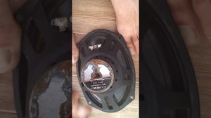 Чистка динамика от пыли!