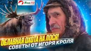 Облавная охота на лося с Игорем Кролем! Как правильно охотиться?