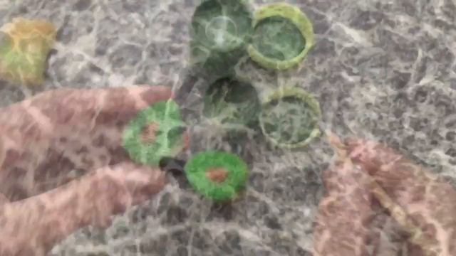 "Как сделать ванную для кукол #Барби" 13 лайфхаков смотреть онлайн