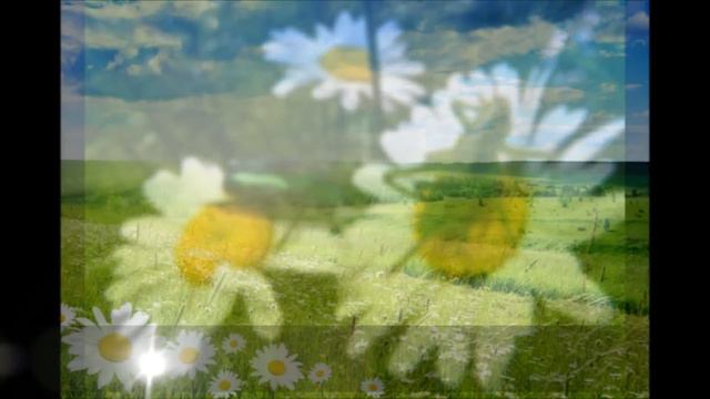 С ДНЕМ СЕМЬИЛЮБВИ И ВЕРНОСТИ!!.wmv