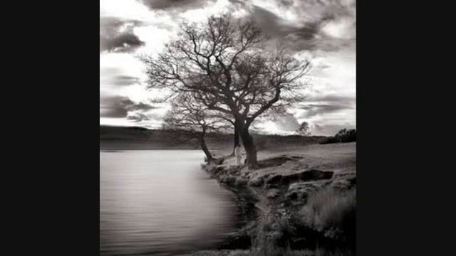 Pass the Salt - Be the Same смотреть онлайн