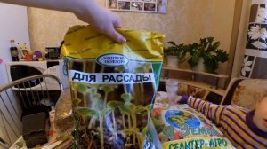 С чего начать сажать РАССАДУ ЧТО купить для посадки семян В каком месяце сажать огурцы