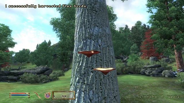 Goblin Jim and the Dragonborne - Oblivion Modded - Part 003 - Volume I смотреть онлайн