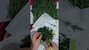 Как заморозить зелёный лук и укроп в бутылке.