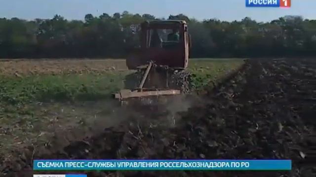 В Аксайском районе картошку пожирает моль смотреть онлайн