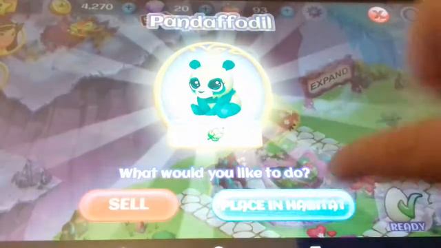 Игра волшебные животные смотреть онлайн