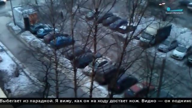 Клыки против ножа смотреть онлайн