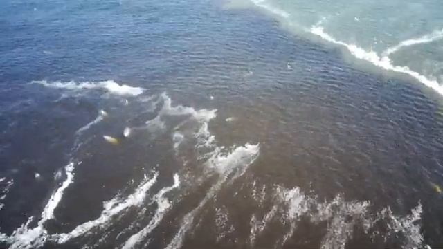 С высоты полета чаек! смотреть онлайн