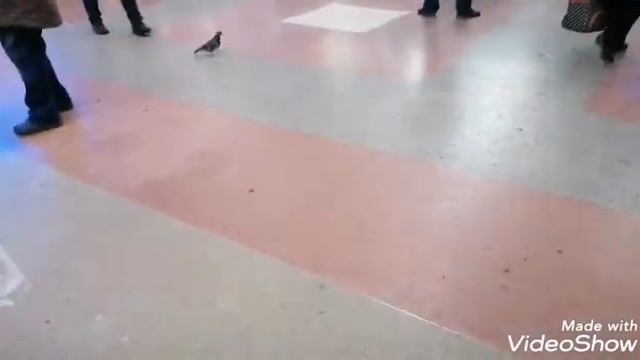Мама/ Особенный ребёнок влог/подарок мужа /