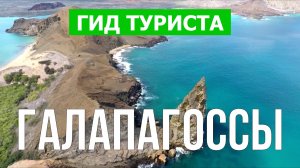 Галапагосские острова | Видео в 4к с дрона | Галапагосские острова с высоты птичьего полета