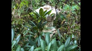 Моя Прекрасная Дача на Закате Лета