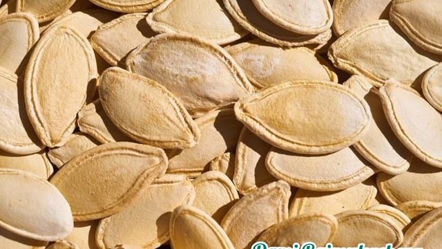 ТЫКВЕННЫЕ СЕМЕЧКИ. Полезные свойства тыквенных семечек.