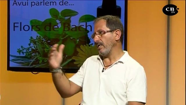 Flores de Bach - Terapeuta Christian Otálvares - смотреть онлайн