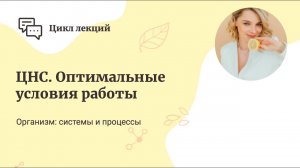 ЦНС. Оптимальные условия работы