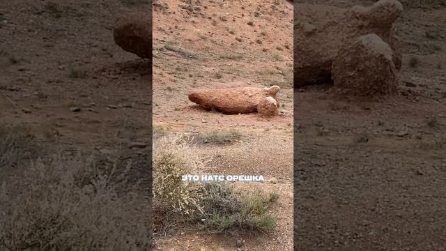 На что похоже, как думаете