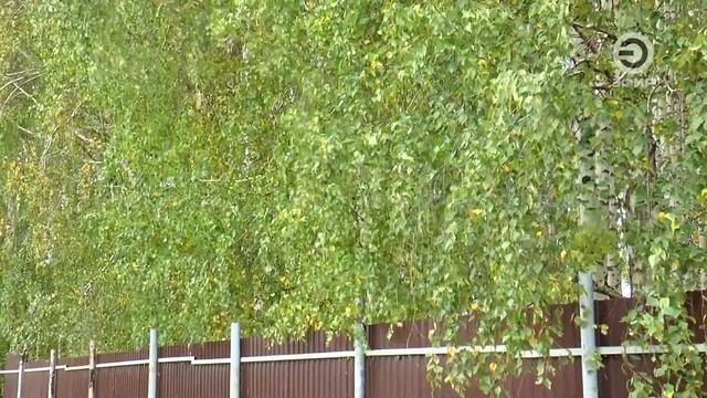 ДОБИЛИСЬ СНОСА НЕЗАКОННО ВОЗВЕДЕННОГО ОГРАЖДЕНИЯ. смотреть онлайн