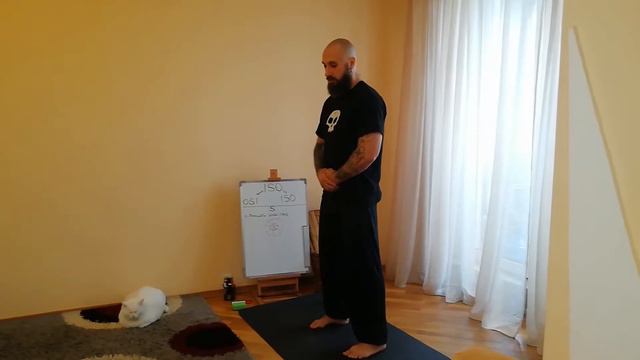 2.ПРАНАВАЮ "S" (ОСНОВЫ ДЫХАНИЯ) - 3.Вращать даньтянь смотреть онлайн