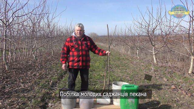 №193 Весняна та осіння побілка дерев: чому вона потрібна горіху смотреть онлайн