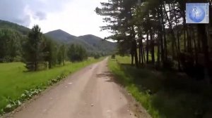 Хорошая бенгальская музыка