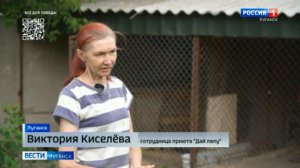 Юные активисты привезли гуманитарный груз в Луганский приют для животных