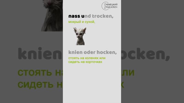 "Frau und Mann" Till Lindemann / Teil 2 / Немецкий по песням / #shorts смотреть онлайн