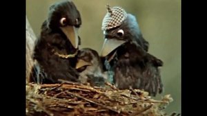 Фильм Фильм фильм песня