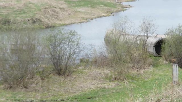 На дамбе у реки Голомыска. Пос. Металлплощадка(Кемерово) смотреть онлайн