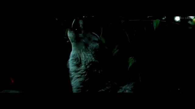 Дрифт по городу|решето| смотреть онлайн