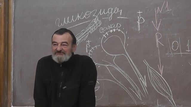2 Что такое рефлекс?