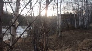 Мертвая дорога 2019