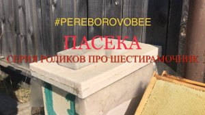 Шестирамочник! ОФИЦИАЛЬНОЕ ВИДЕО! Пчеловодство! | #pereborovobee #пчеловодство #пчёлы #bee #мёд